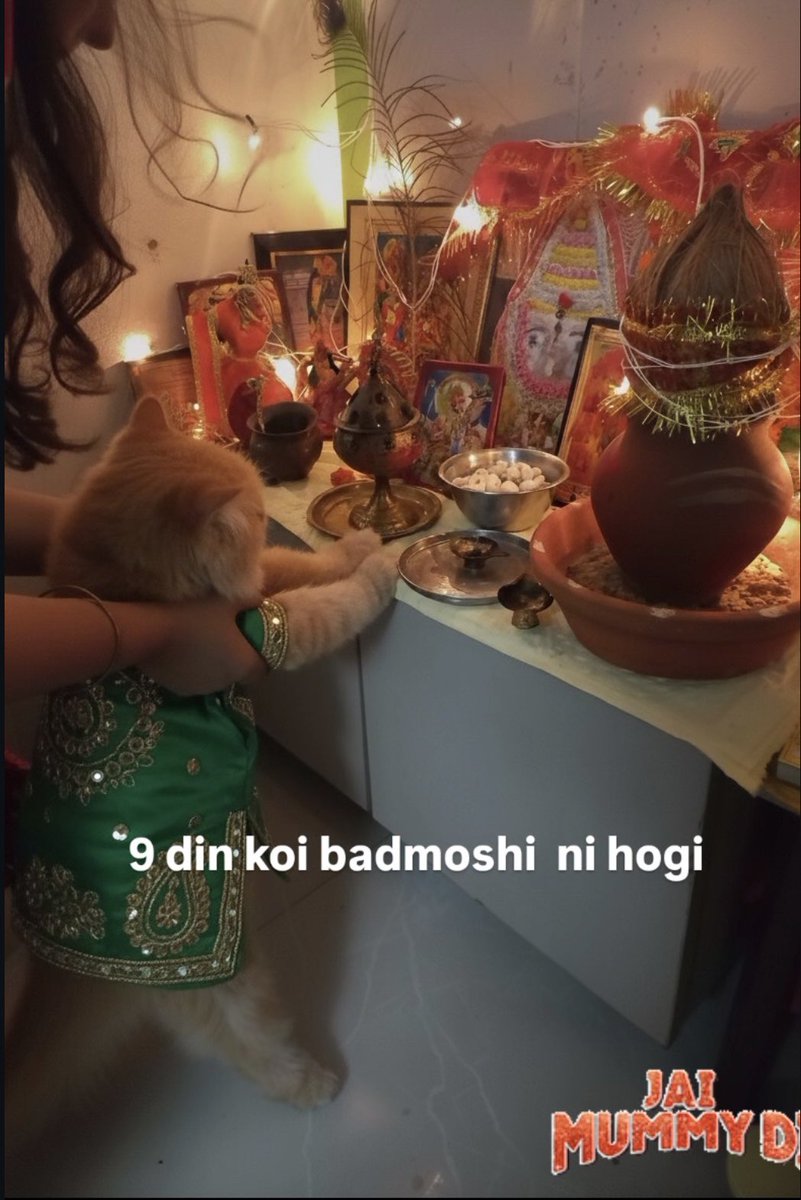 24Shambhavi's tweet image. A good day it is 🤭😂🧿