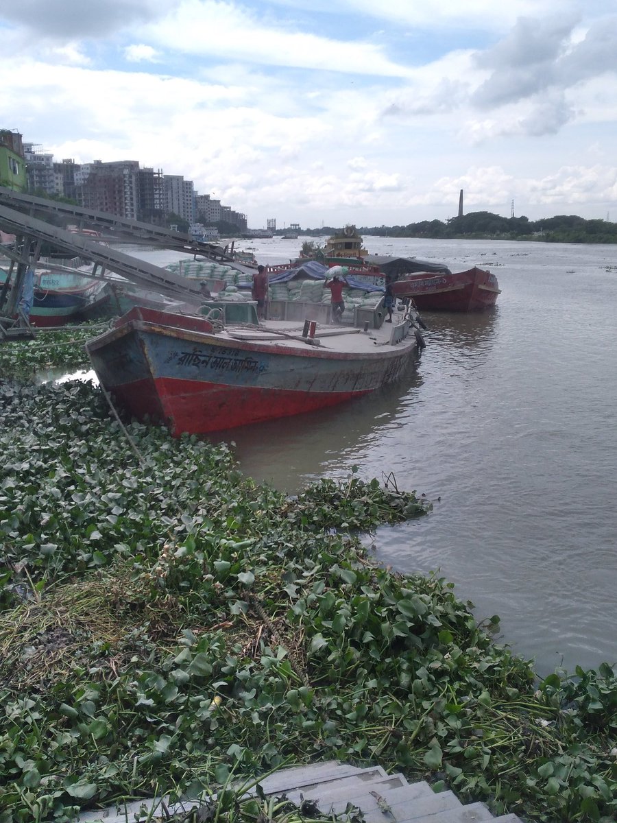 kodingtv's tweet image. পৃথিবীর  একমাত্র শহর ঢাকা   যে সিটির  চতুর্থ দিকে নদী আছে -আলহামদুলিল্লাহ। শুধু একটি মাত্র আইন নদী রক্ষা ও ৩০ লক্ষ লোকের  কর্মসংস্থান সৃষ্টি হতে পারে।
কর্মসংস্থান সম্ভাবনা (আনুমানিক):
নৌযান চালক ও ক্রু: ১০ লক্ষ
নির্মাণ ও মেরামত শ্রমিক: ৫ লক্ষ
প্রশাসনিক ও ব্যবস্থাপনা কর্মী: ২ ল