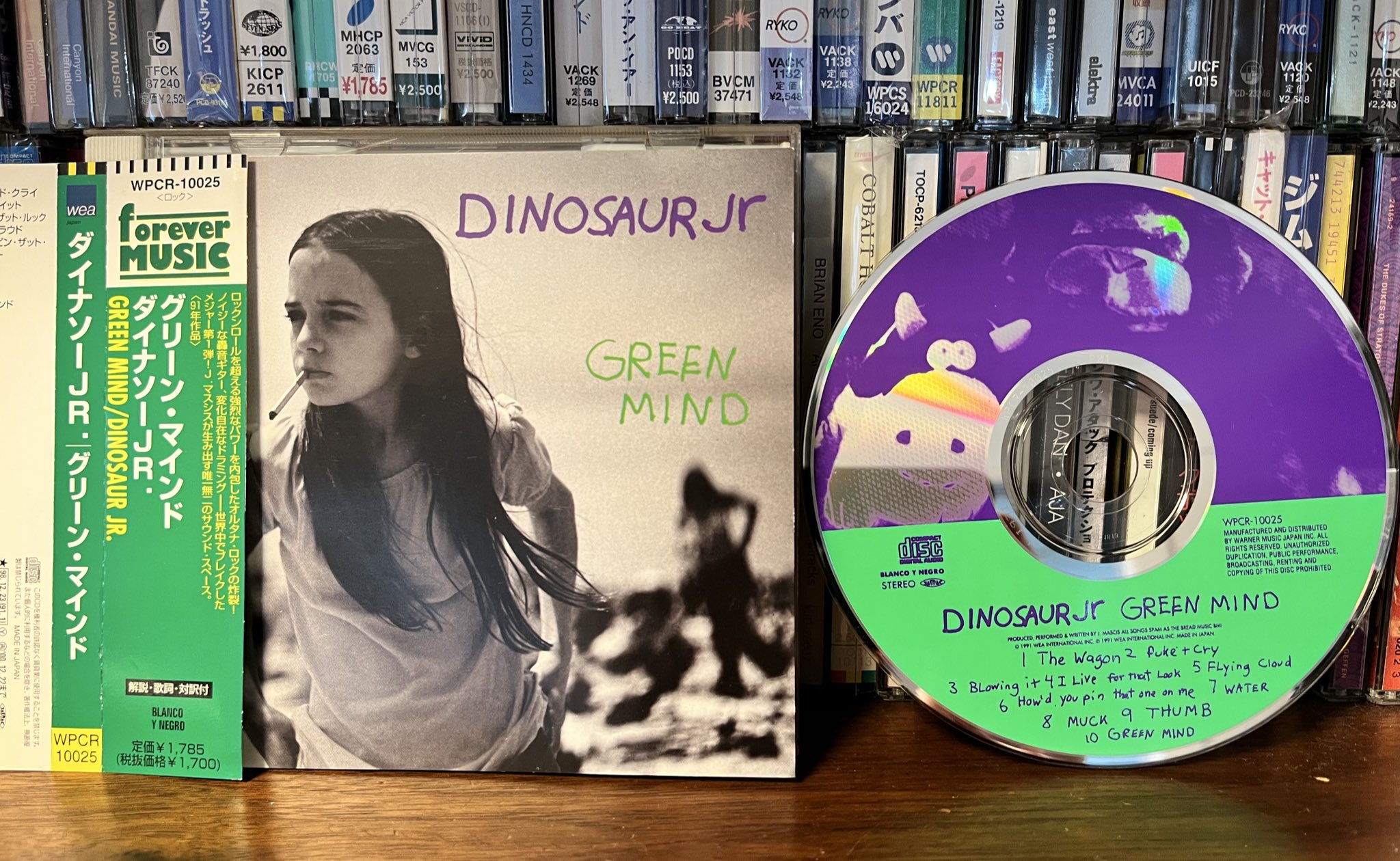 ■高音質USプレス盤/USオルタナ傑作■DINOSAUR JR. / ダイナソー □高音質USプレス盤/USオルタナ傑作□DINOSAUR JR. / ダイナソー