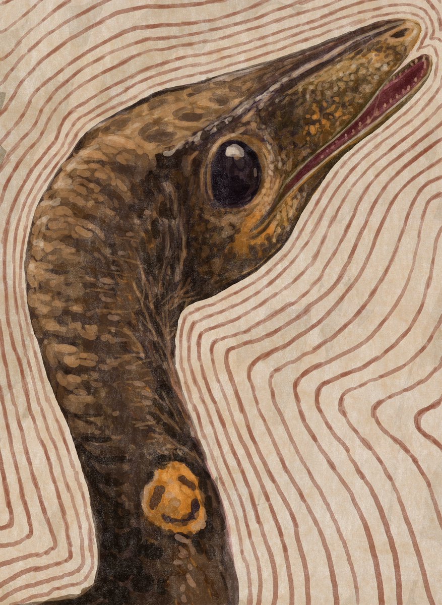 Kmonvish Lawan tweet media