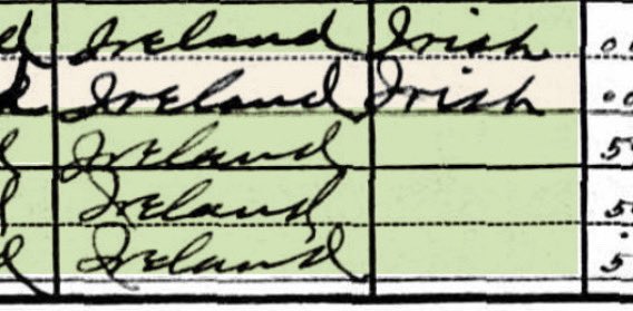 My great grandparents’ first language on the census is listed as Irish and that is just a little thing that makes me happy to see