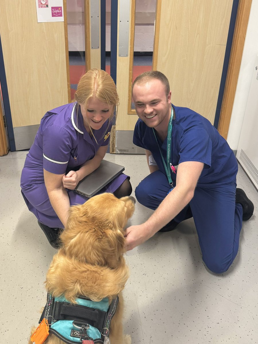 Kate <a href="/UHS_E1/">@UHS_E1</a> and I loved running into Dr Rory on our ward rounds today. Always a great morale boost for staff, relatives but most importantly patients. <a href="/PetsAsTherapyUK/">Pets As Therapy</a> <a href="/UHSFT/">University Hospital Southampton 💙</a>
