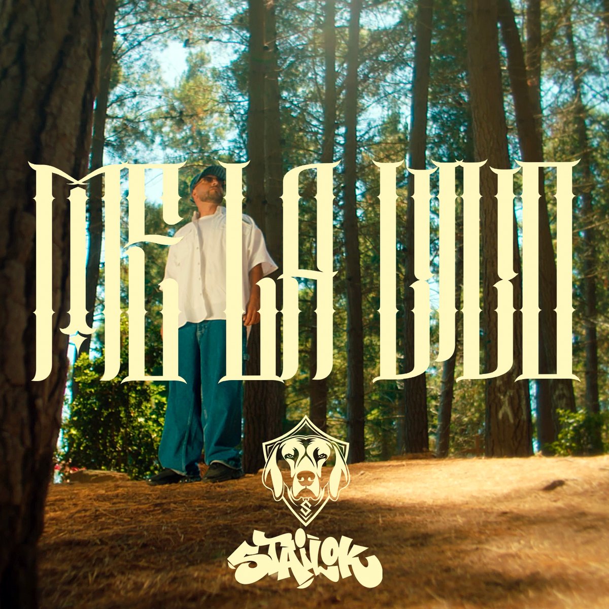 Escucha mi nuevo single "ME LA VIVO" youtube.com/watch?v=7dH36D…