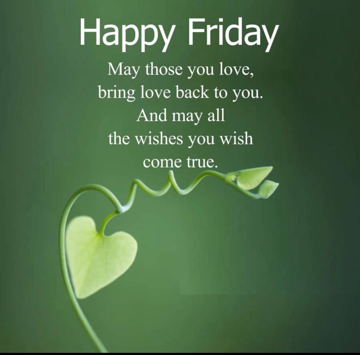 MAGA 🇺🇸 🇺🇸 🇺🇸 🇺🇸 (@maga_gsa) on Twitter photo #MAGA Friday 8th fresh list RT ✅
♥️ RED
Follow and follow back
Follow 👉<a href="/Maga_GSA/">MAGA 🇺🇸 🇺🇸 🇺🇸 🇺🇸</a>
<a href="/lilacheather30/">M̆̈ŏ̈r̆̈ğ̈ă̈n̆̈ 🏴🇮🇱🇺🇸</a>
<a href="/MythRMA/">.</a>
<a href="/DanielKB3651/">Daniel</a>
<a href="/Ed_castro62/">Leo Bonhart Art</a>
<a href="/nena_bovb51/">Nena</a>
<a href="/AgroNationalism/">VanRaalte, Agro-Nationalist</a>
<a href="/apofficial360/">Kashinath Singh Yadav</a>
<a href="/Acrf_munna_BHAi/">मुन्नाभाई ,1990से खाजपा का मंडल, 2023से लिंगभेद ?</a>
<a href="/aditi9870/">Aditi Pandey</a>
<a href="/Zitronenhn29992/">Zitronenhändler</a>
<a href="/Govind0433/">Govind Bishnoi</a>
<a href="/MPandey26255/">mohan pandey</a> #MAGA Friday 8th fresh list RT ✅
♥️ RED
Follow and follow back
Follow 👉<a href="/Maga_GSA/">MAGA 🇺🇸 🇺🇸 🇺🇸 🇺🇸</a>
<a href="/lilacheather30/">M̆̈ŏ̈r̆̈ğ̈ă̈n̆̈ 🏴🇮🇱🇺🇸</a>
<a href="/MythRMA/">.</a>
<a href="/DanielKB3651/">Daniel</a>
<a href="/Ed_castro62/">Leo Bonhart Art</a>
<a href="/nena_bovb51/">Nena</a>
<a href="/AgroNationalism/">VanRaalte, Agro-Nationalist</a>
<a href="/apofficial360/">Kashinath Singh Yadav</a>
<a href="/Acrf_munna_BHAi/">मुन्नाभाई ,1990से खाजपा का मंडल, 2023से लिंगभेद ?</a>
<a href="/aditi9870/">Aditi Pandey</a>
<a href="/Zitronenhn29992/">Zitronenhändler</a>
<a href="/Govind0433/">Govind Bishnoi</a>
<a href="/MPandey26255/">mohan pandey</a>