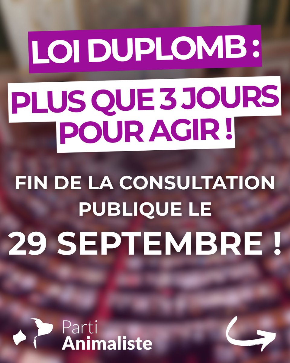 📣 Loi Duplomb : plus que 3 jours pour agir !

Mobilisons-nous contre cette loi et son décret favorisant l’industrialisation de l’élevage.

🗳️Plus que 3 jours pour participer à la consultation publique et dire NON.

Parce que les animaux crient, faisons entendre leur voix.

[1/6]