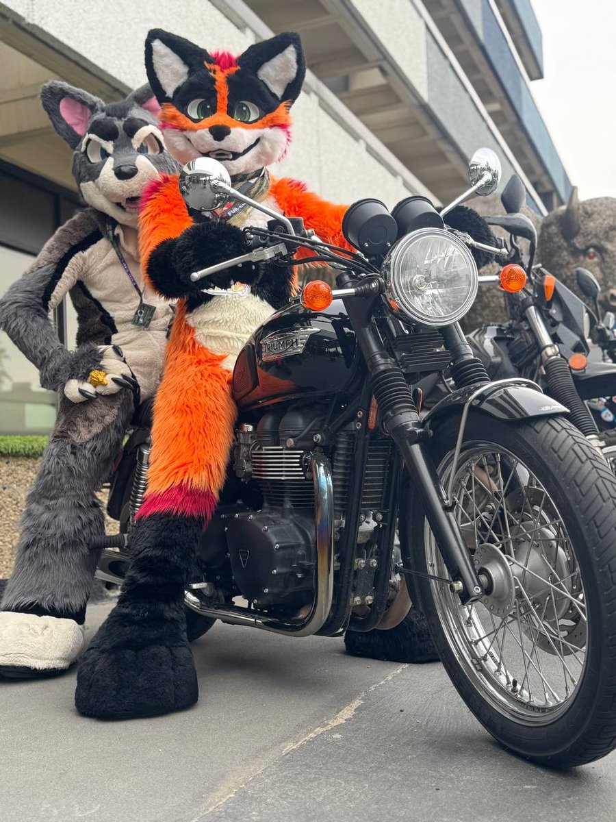 Fuzzy road warriors 🔥

🐺: <a href="/thelonewo1fy/">TheLoneWolfy</a> 
📍: Fur-Eh 2025

#FursuitFriday