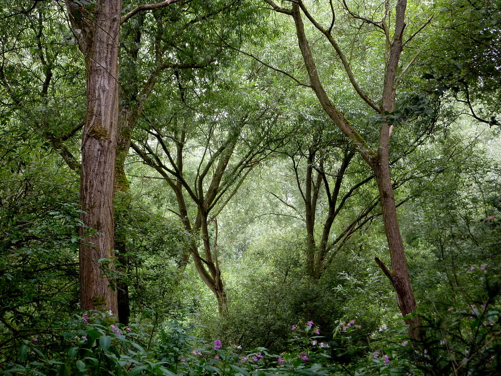 Our brilliant Poem of the Week:

abctales.com/story/ewan/vir…