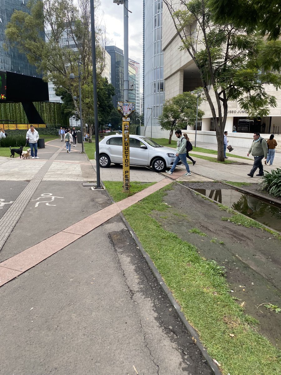 Monirodriguezca's tweet photo. #carso @AlcaldiaMHmx @OlaMHmx  un auto circulando sobre área peatonal  y ciclo vía y nadie que le diga nada!!!!@plazacarso https://t.co/uApy4MLj50