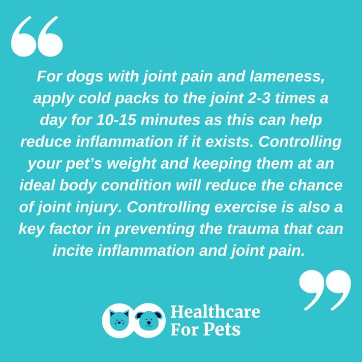 #TIP: Treating joint pain in dogs at home.

For more info on managing #jointpain and lameness in dogs: bit.ly/2VHo3b3
.
.
.
#DogPain #CaninePain #PetPain #DogLameness #DogJointPain #DogJoint #DogHealth #CanineHealth #PetHealth #PetPainManagement #AnimalPainAwarenessMonth