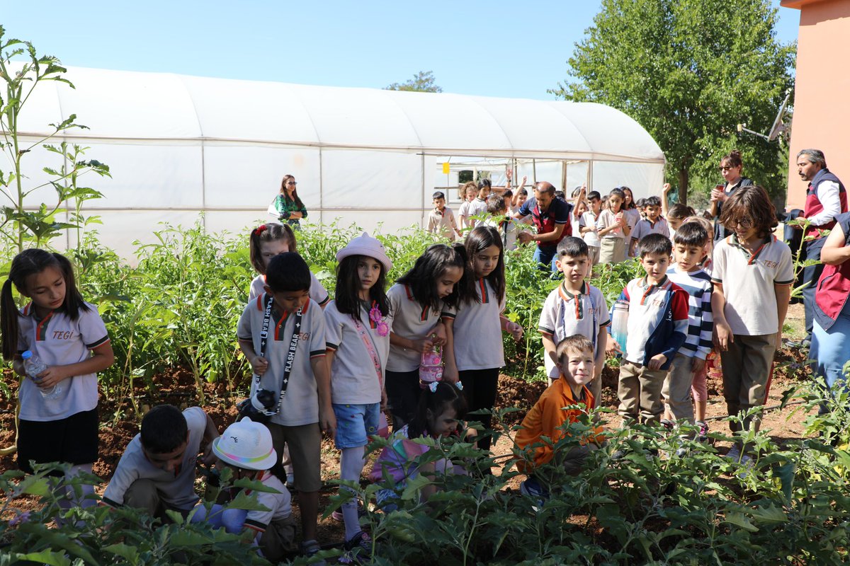 🌳🌿#YesilVatan etkinlikleri kapsamında Elif Güntaş İlkokulu öğrencilerimiz, öğretmenleri eşliğinde İl Tarım ve Orman Müdürlüğüne bağlı uygulama alanını ziyaret ettiler.

Ziyaret süresince öğrencilerimiz, tarım uzmanlarından organik tarımın önemi ve çevre dostu üretim yöntemleri