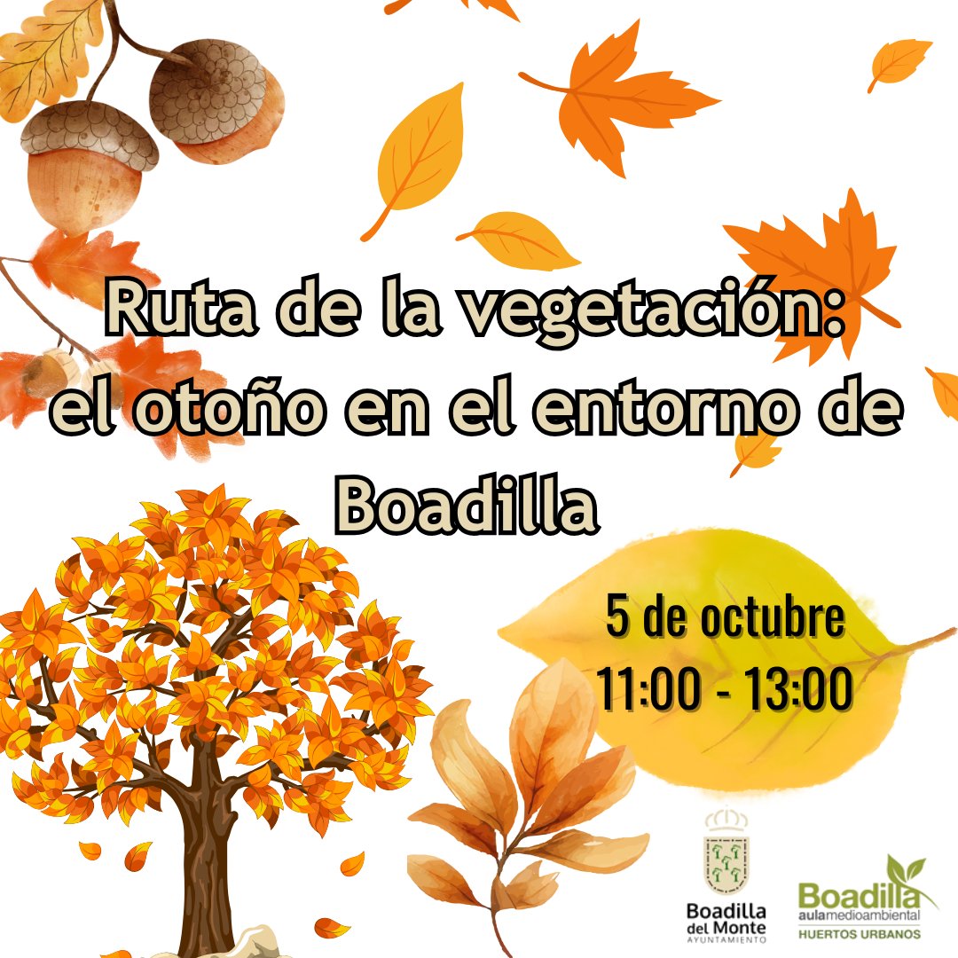 amaboadilla (@amaboadilla) on Twitter photo RUTA DE LA VEGETACIÓN: EL OTOÑO EN EL ENTORNO DE BOADILLA📷📷
El otoño cubre a Boadilla del Monte de diversos colores📷 Haremos una ruta para identificar las especies vegetales que visten el paisaje.
DOMINGO 5 DE OCTUBRE
11:00 h - 13:00 h
Inscripciones en amaboadilla@gmail.com RUTA DE LA VEGETACIÓN: EL OTOÑO EN EL ENTORNO DE BOADILLA📷📷
El otoño cubre a Boadilla del Monte de diversos colores📷 Haremos una ruta para identificar las especies vegetales que visten el paisaje.
DOMINGO 5 DE OCTUBRE
11:00 h - 13:00 h
Inscripciones en amaboadilla@gmail.com