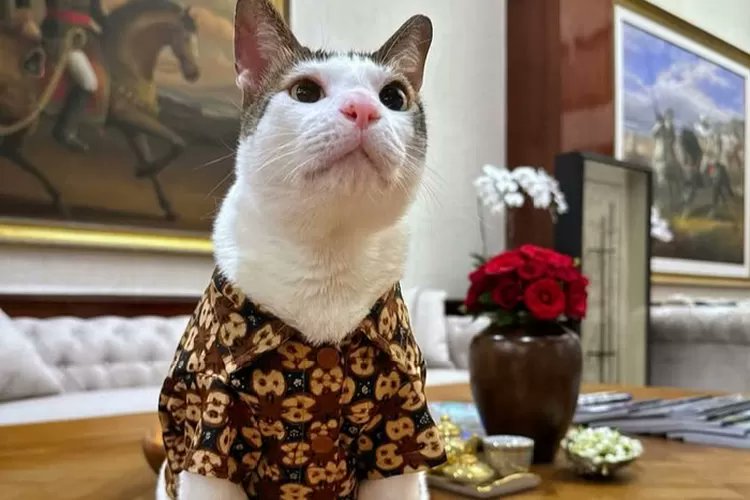 miung 10 tweet media