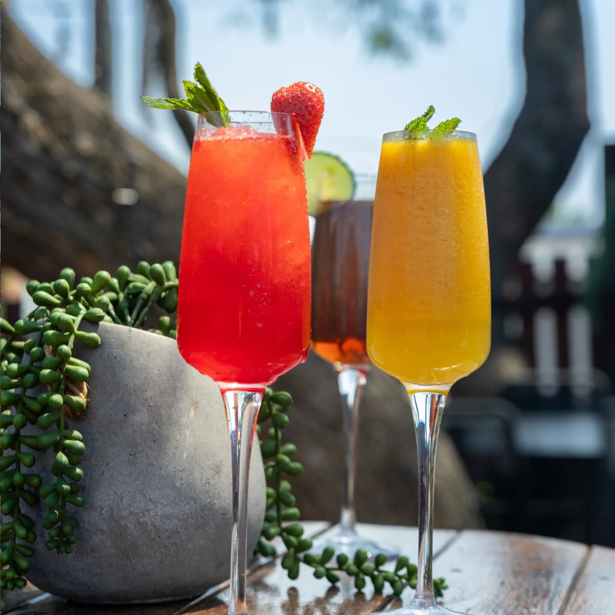 FoodBlog Joburg tweet media