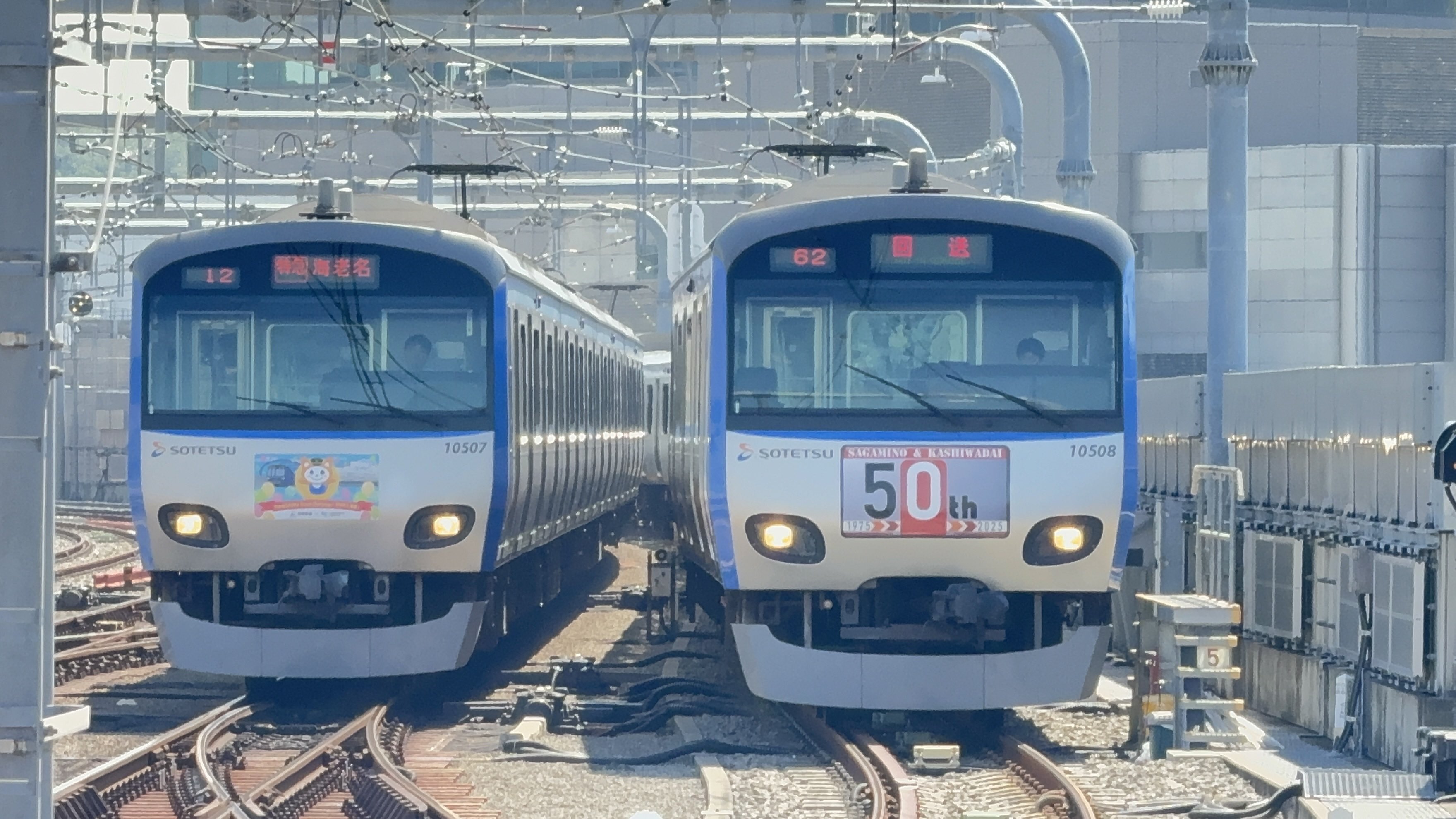 ニャン太 Street Fighter T.N.C.- 08 E.Honda