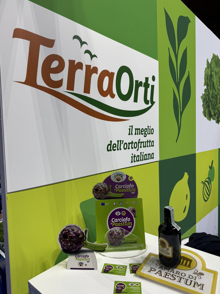 CarciofoIGP's tweet photo. Il Carciofo di Paestum IGP protagonista a Expo Sele 2025!
📍 Eboli, 25-27 settembre
Nello stand Terra Orti, grande curiosità per il liquore al carciofo firmato Mellis: innovazione e tradizione dalla Piana del Sele.

#CarciofoDiPaestumIGP #ExpoSele2025 #PianaDelSele #Eccellenza https://t.co/2jkpd5xATD