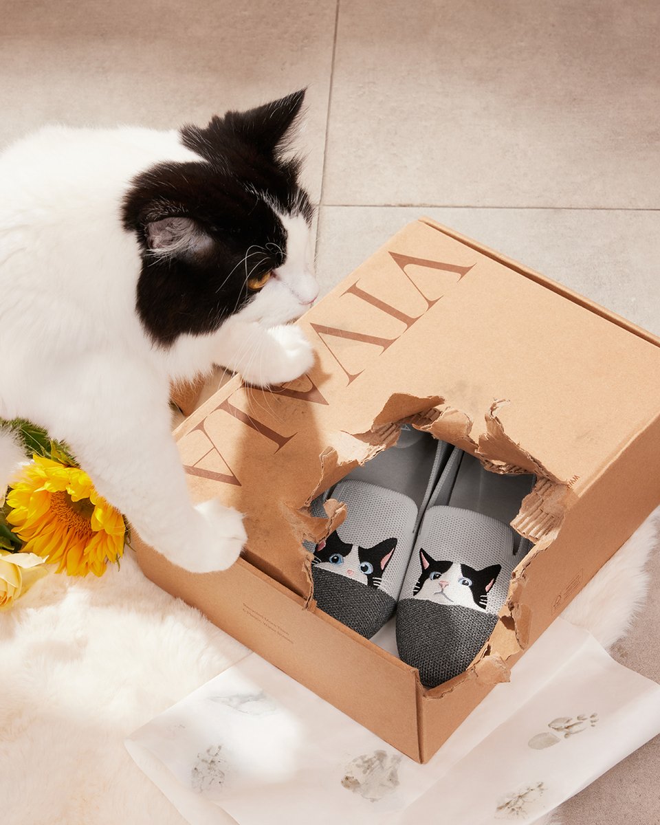 vivaia_official's tweet image. Swipe right to see the Troublemaker! 
Thank goodness, my favorite shoes are intact. 
Please tell me in comment, should I withhold the culprit&apos;s cat treats as punishment in this situation?

reurl.cc/vLz1Dj

#VIVAIA  #VIVAIAAudrey #Pawrent #Loafers #VIVAIALoafers