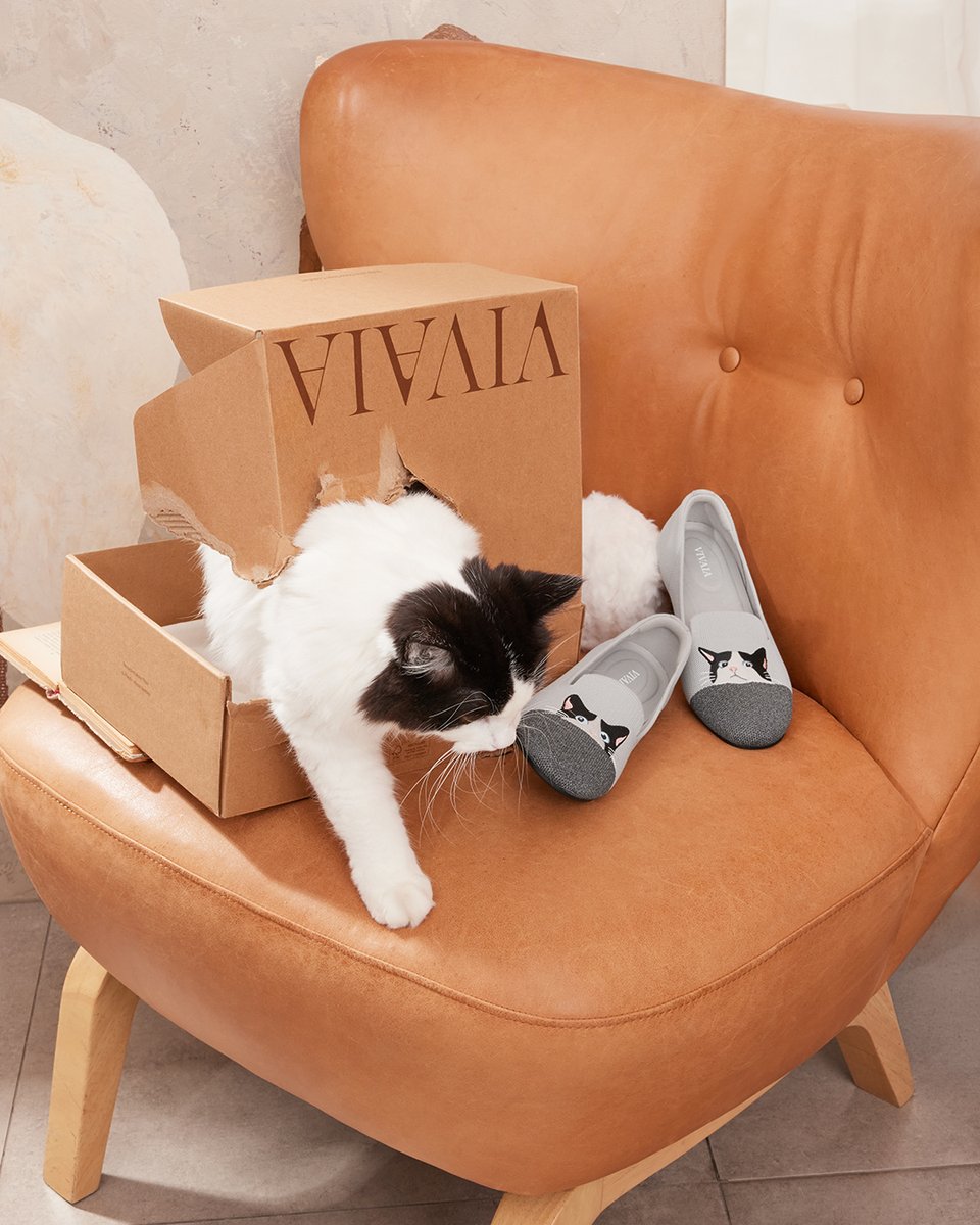vivaia_official's tweet image. Swipe right to see the Troublemaker! 
Thank goodness, my favorite shoes are intact. 
Please tell me in comment, should I withhold the culprit&apos;s cat treats as punishment in this situation?

reurl.cc/vLz1Dj

#VIVAIA  #VIVAIAAudrey #Pawrent #Loafers #VIVAIALoafers
