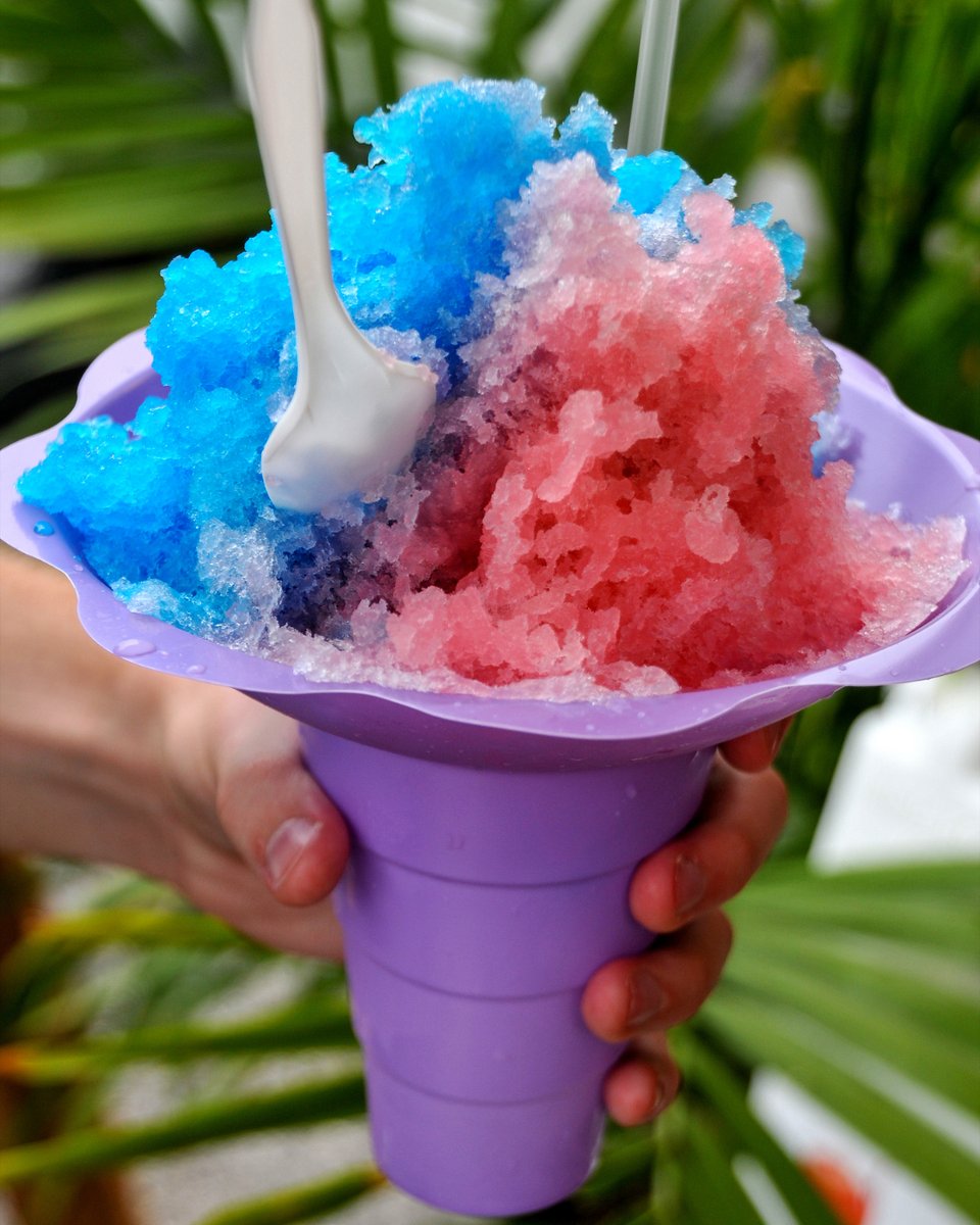Dunn4Authors's tweet photo. It's Aloha Friday
Why is it called "shave ice" in Hawaii?
Japanese immigrants in Hawaii would shave thin flakes off large blocks of ice using special tools to cool off, topping the icy treat with sugar or fruit juice.
#AlohaFriday
#AlohaFriday #ItsAlohaFriday https://t.co/I2ryydQkrZ