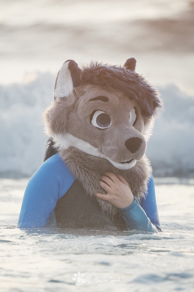 HeyImSpiritWolf's tweet photo. Couldn’t pick just one for #FursuitFriday AAAAAAAAA 

📷: @blaze_shepsky https://t.co/KmKtNTy994