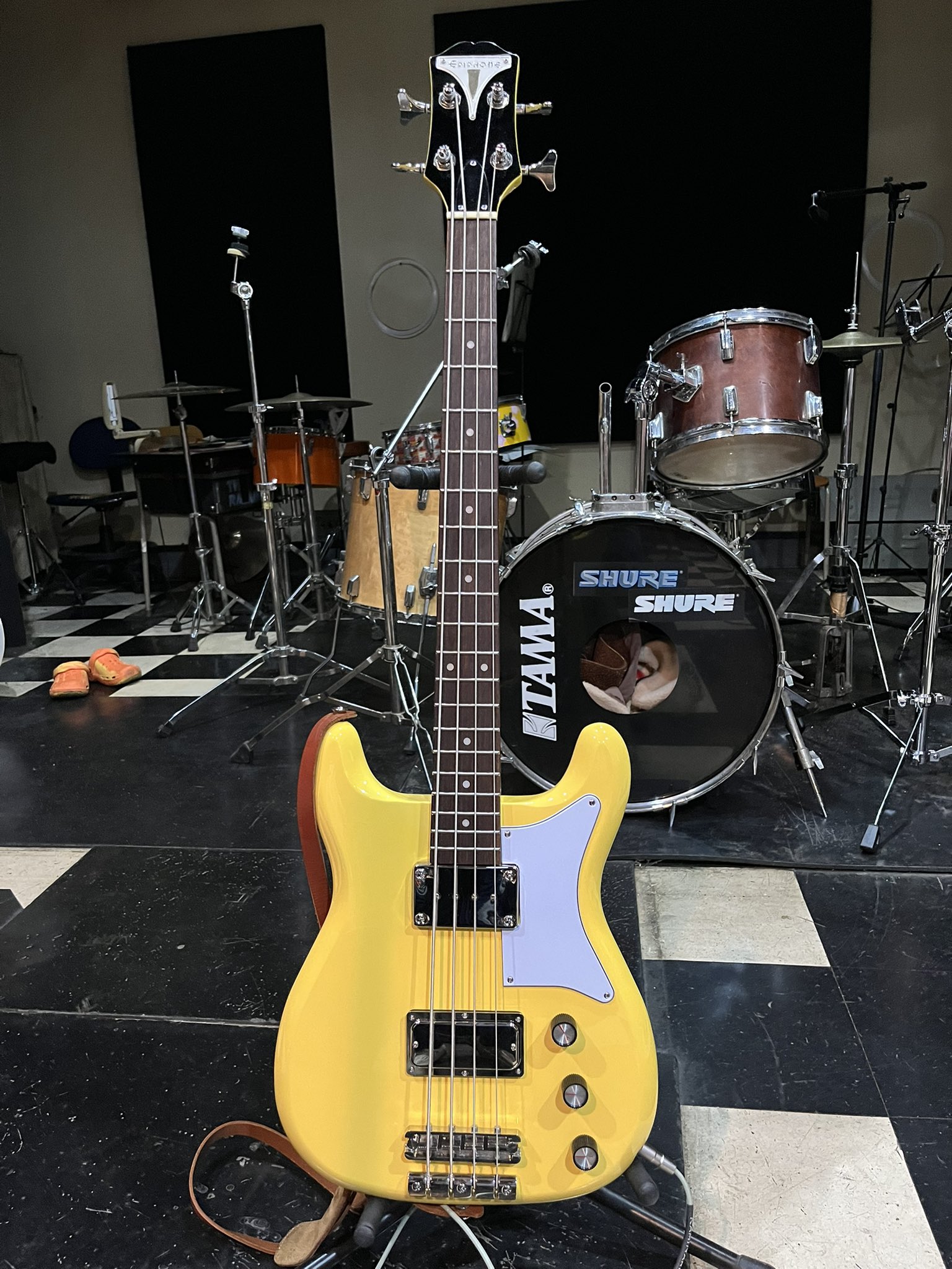 みんみんページ みんみん (@minminsunflower) / X