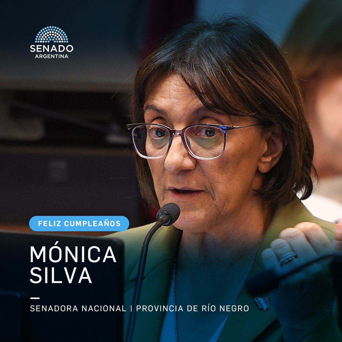 Senado Argentina tweet media