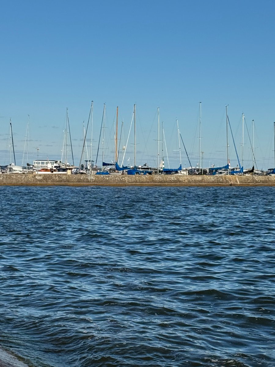 BagsProverbial's tweet image. Hello from #Nida #CuronianSpit
@LudmillaGeiszne  #POstables