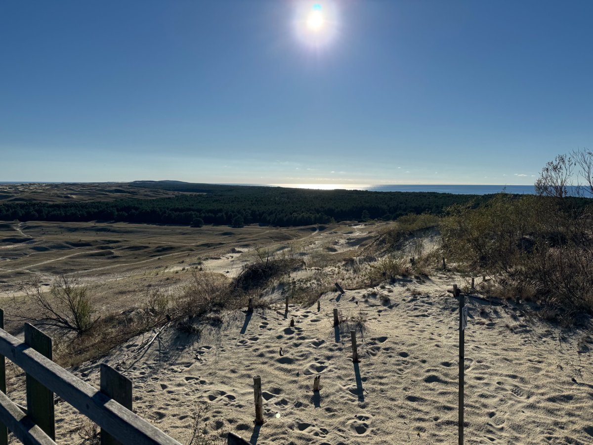 BagsProverbial's tweet image. Hello from #Nida #CuronianSpit
@LudmillaGeiszne  #POstables