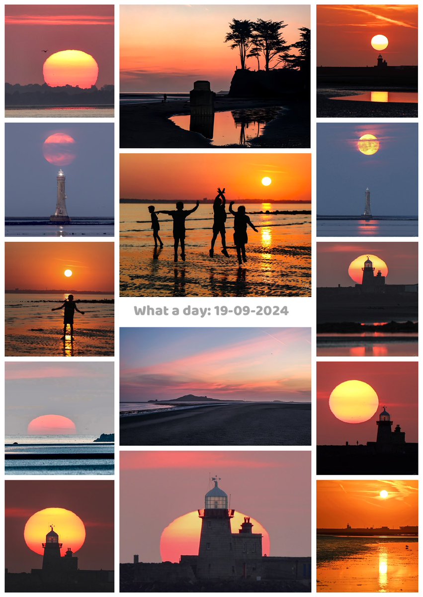 Ann Bruen tweet media