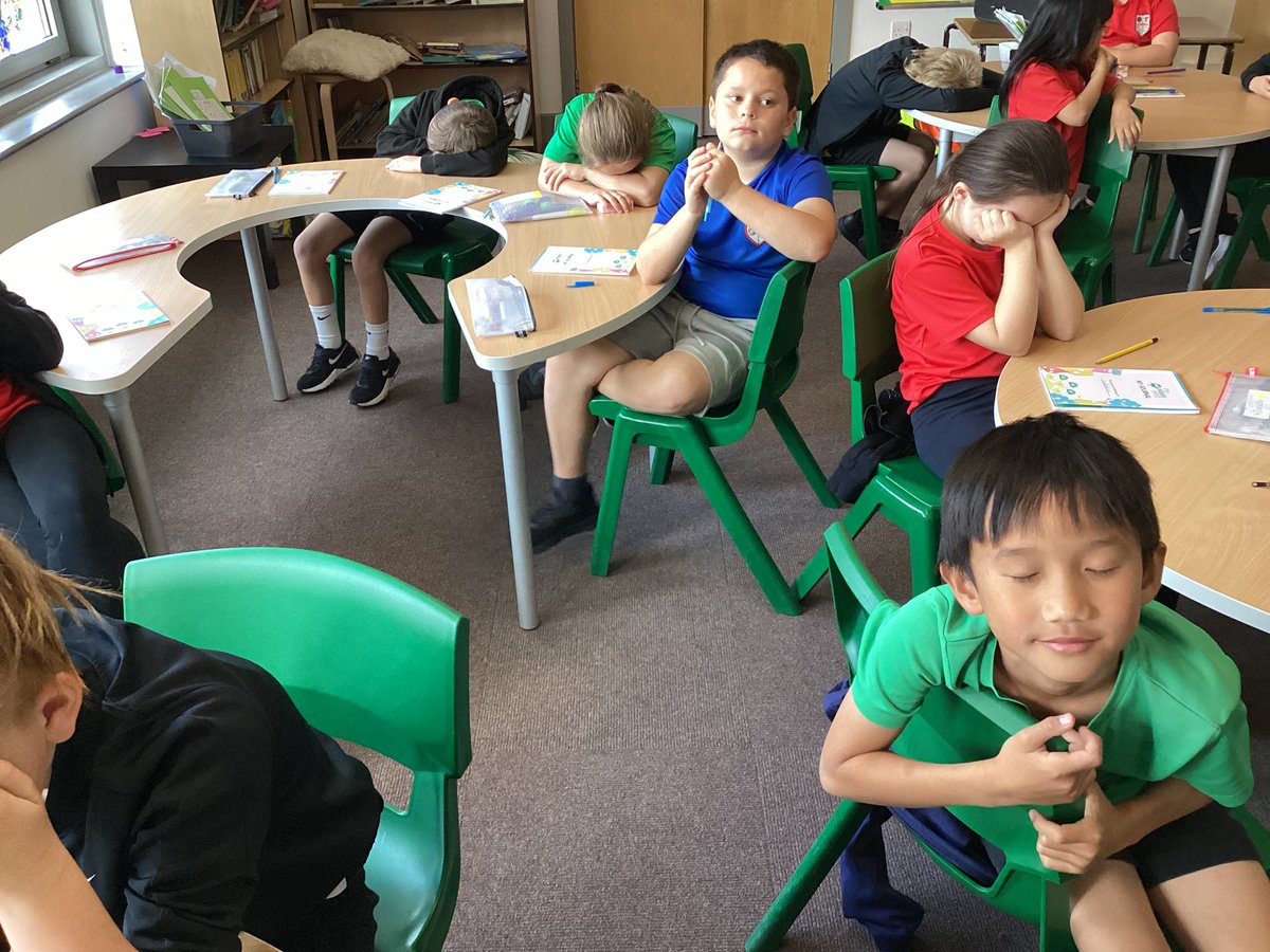 beechtreeGSP's tweet image. Beech Tree had some quiet reflection time during My Happy Mind today and thought about their happy place