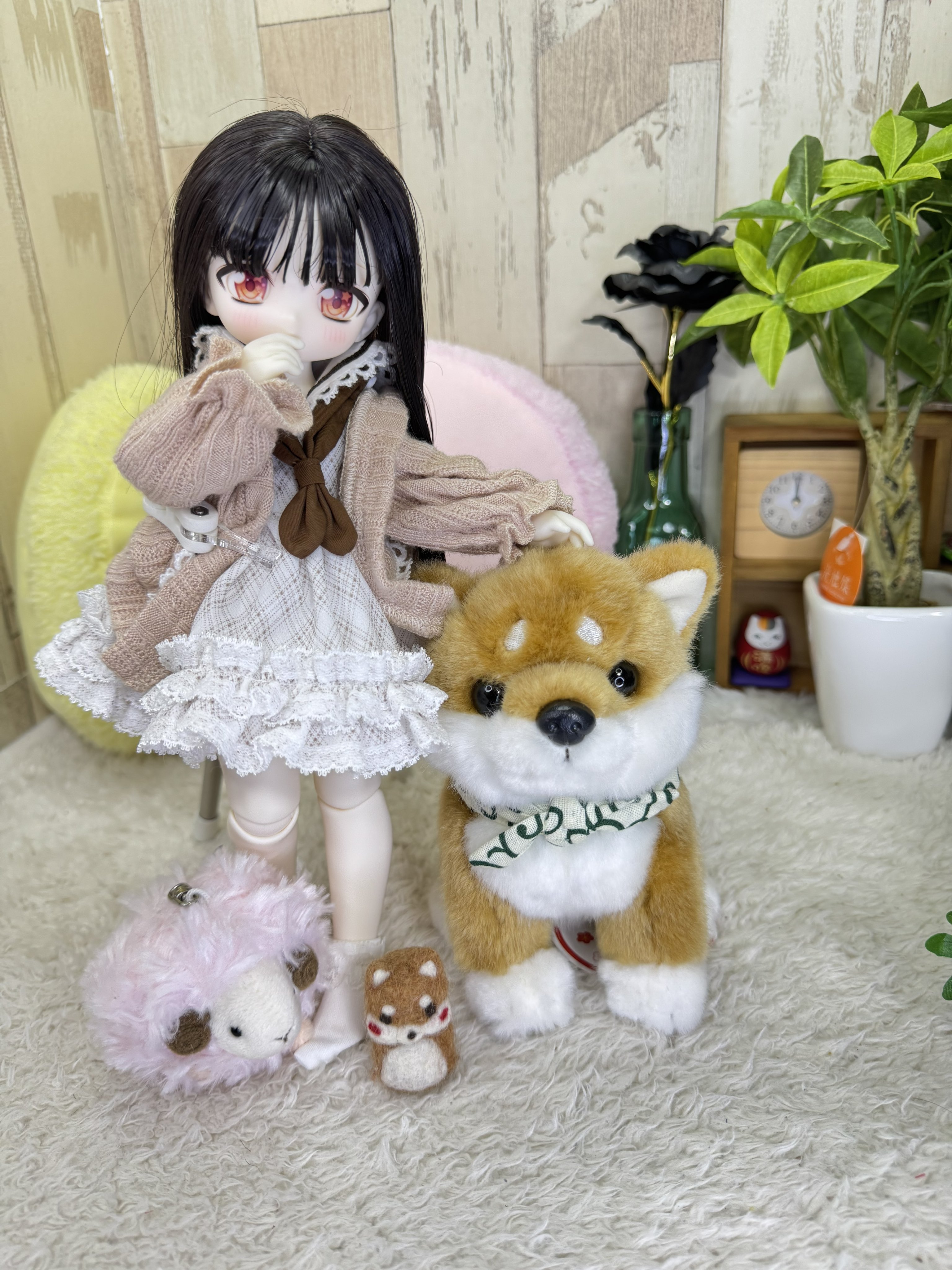くまきち on X: 
