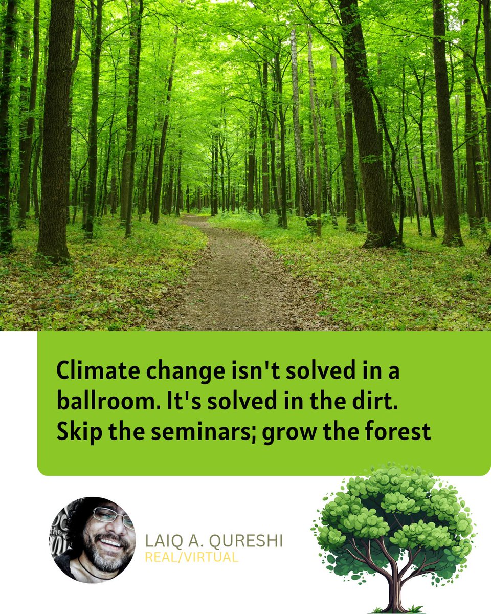 laiqqureshi's tweet image. Skip the seminars; grow the forest. We need action in the dirt, not just talk in the ballroom. #ClimateAction #GrowTrees #GroundWork
#SkiptheSeminarsGrowtheForests