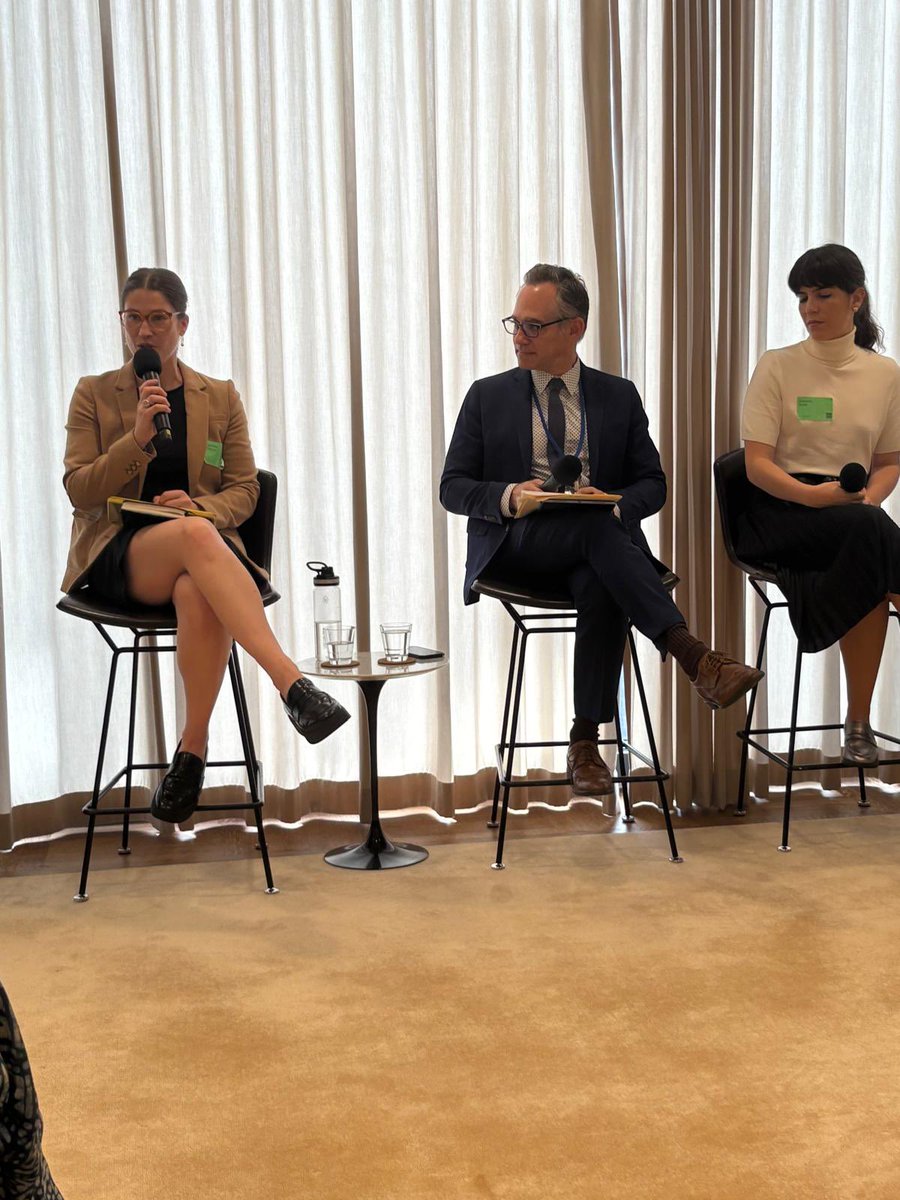 Happening Now at the #UNGA80 Commemoration Event on The Future We Agreed: Caroline Dunton of <a href="/ununiversity/">UN University</a> notes that there is often negativity bias and we don't often hear about what works because we're focused on what doesn't work.