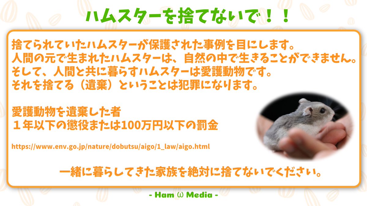 9/20〜9/26は動物愛護週間です。
当団体で保護対象としているハムスターも勿論、愛護動物に該当します。

今年の動物愛護週間は本日が最終日ですが、これからもハムスターたちを大切にしていきましょう🐹

#ハムスター
#動物愛護週間