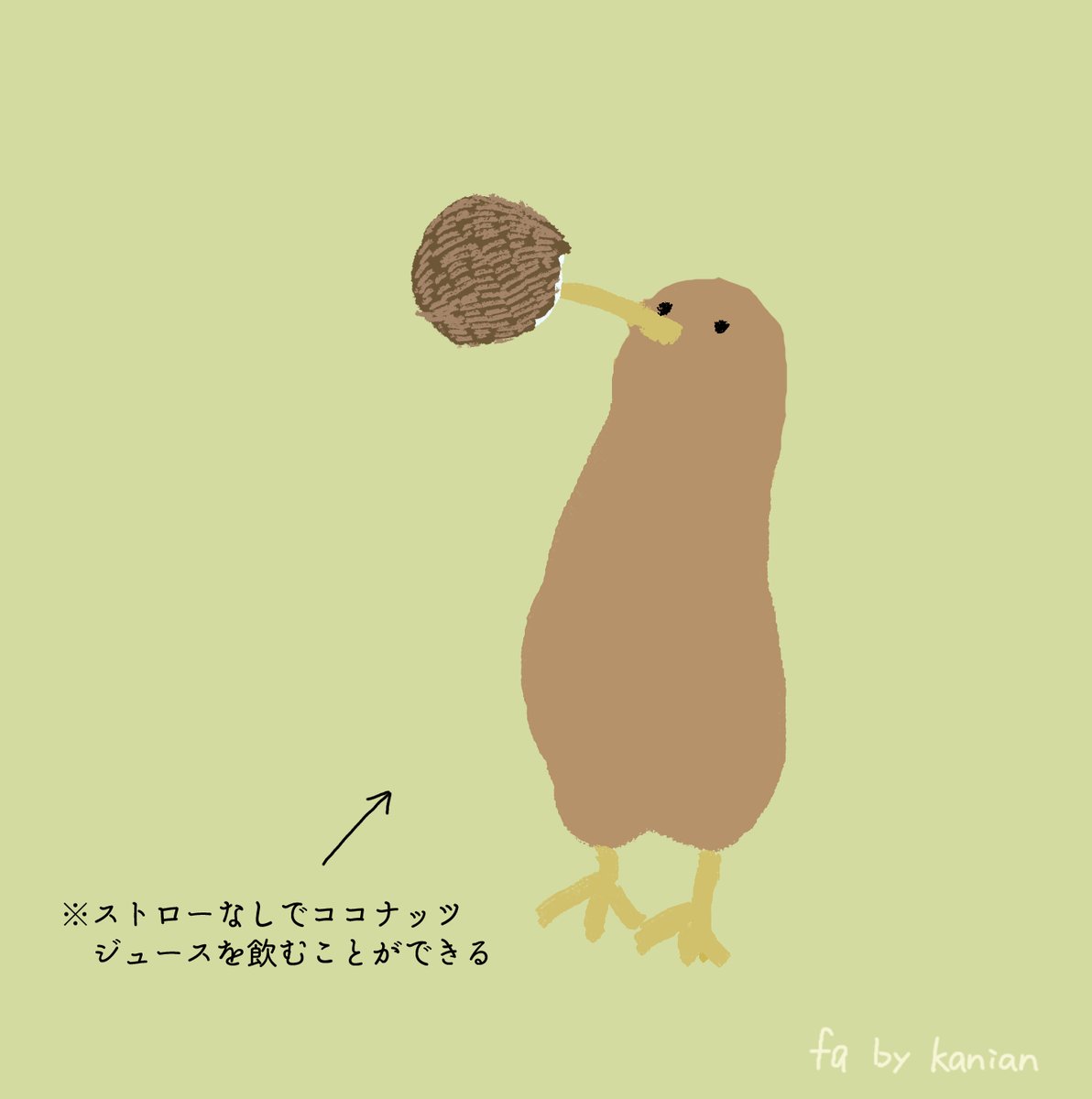 🥥
#kiwi_fanart_life