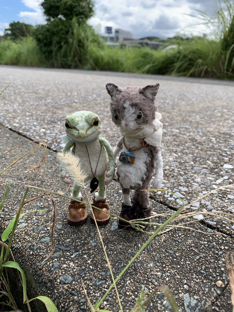 HiNo pixy ねこ　ハンドメイド　ぬいぐるみ HiNo pixy ねこ ハンドメイド ぬいぐるみ gyunyuya • Instagram
