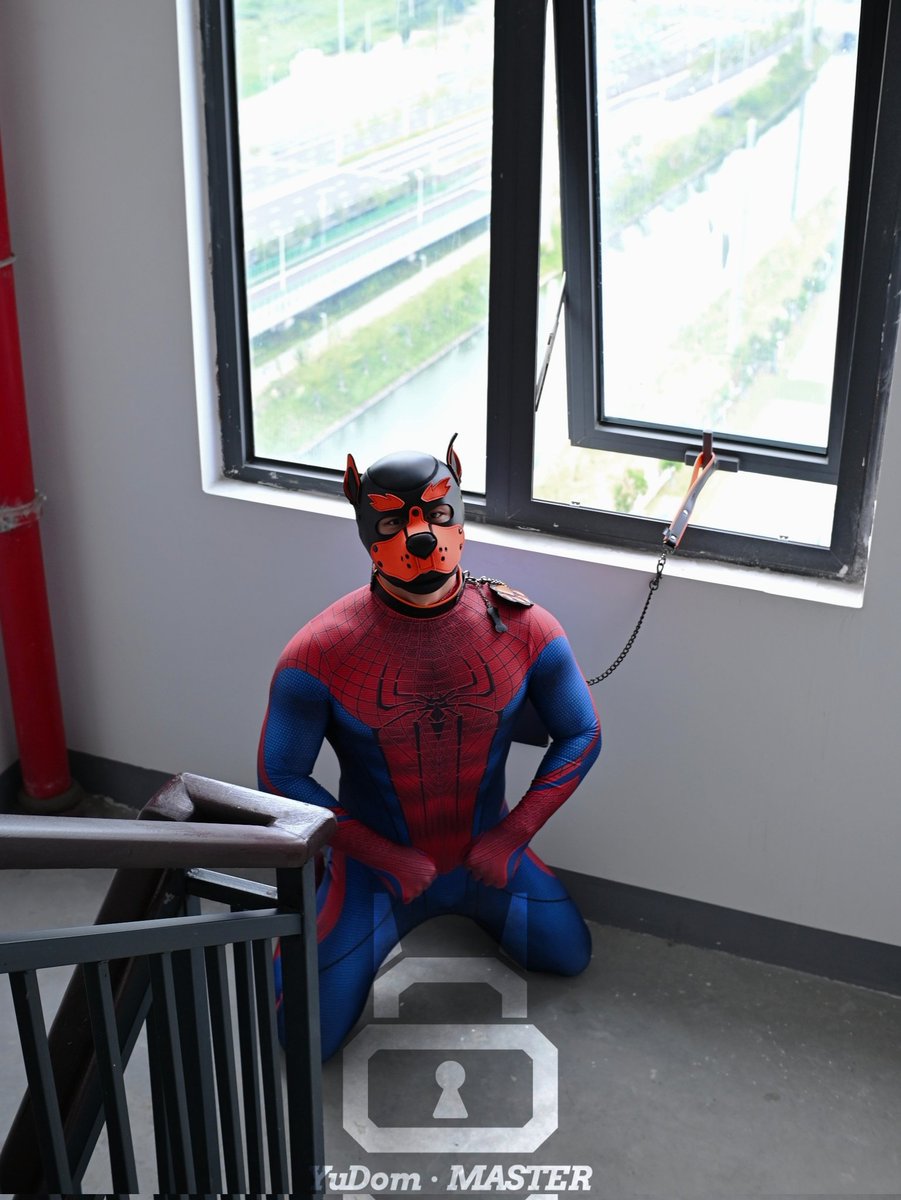 如果下楼看到这只小狗，该怎么办？