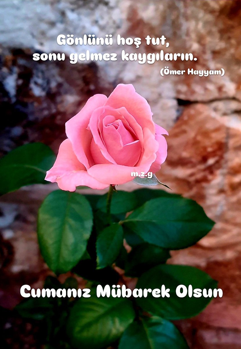 Gönlünü hoş tut, sonu gelmez kaygıların.
(Ömer Hayyam)

Cumanız Mübarek Olsun