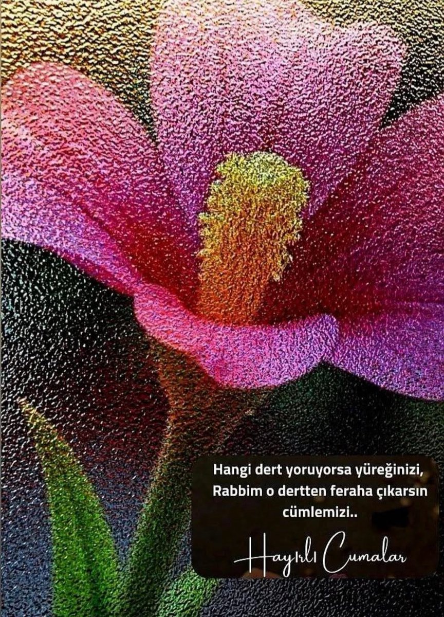 Ne güzel bir söz ,
İyilikte yaparsan kendine ,
Kötülükte yaparsan kendine diye .
Duyguları ,sevgileri ve sevdası samimi olanların gözleri de sözleri de ahde vefalarıda berrak olur .

  ╰---♡  𝗛𝗮𝘆ı𝗿𝗹ı 𝗰𝘂𝗺𝗮𝗹𝗮𝗿.🌸🦋

#cuma
#ebrulinotlar