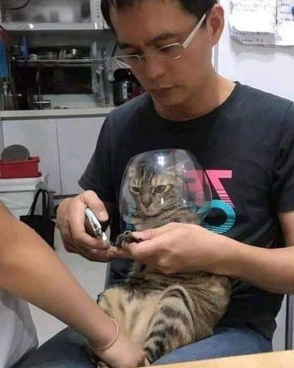 Kada se u meni bore dva vuka, da li jesti iz mamine kuhinje ili ne🥹