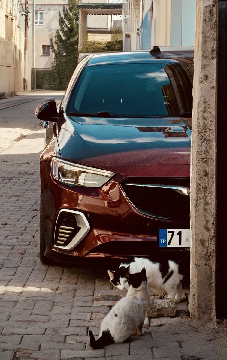 -Adın Ne?
-Sûsê. Ya Senin?
-Bana da “Pist” Derler…