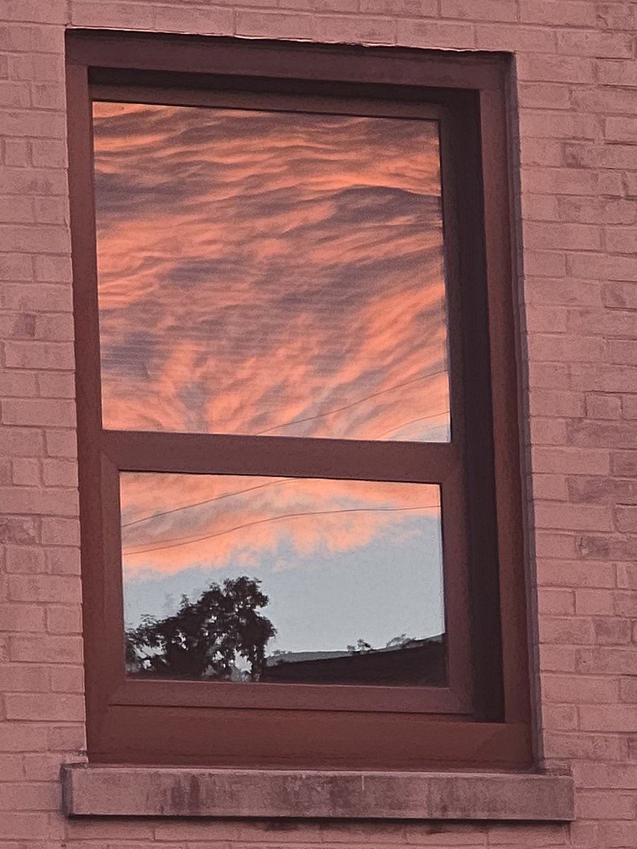 steveginx's tweet image. Doing some reflecting this morning