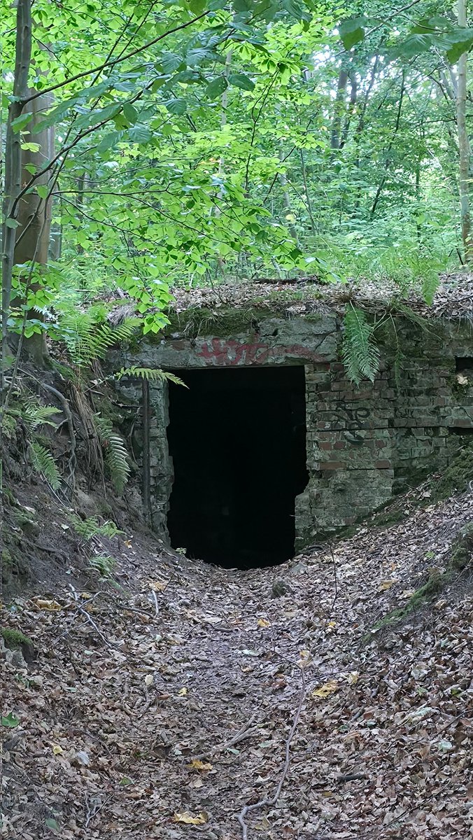 Look what we found on vacation