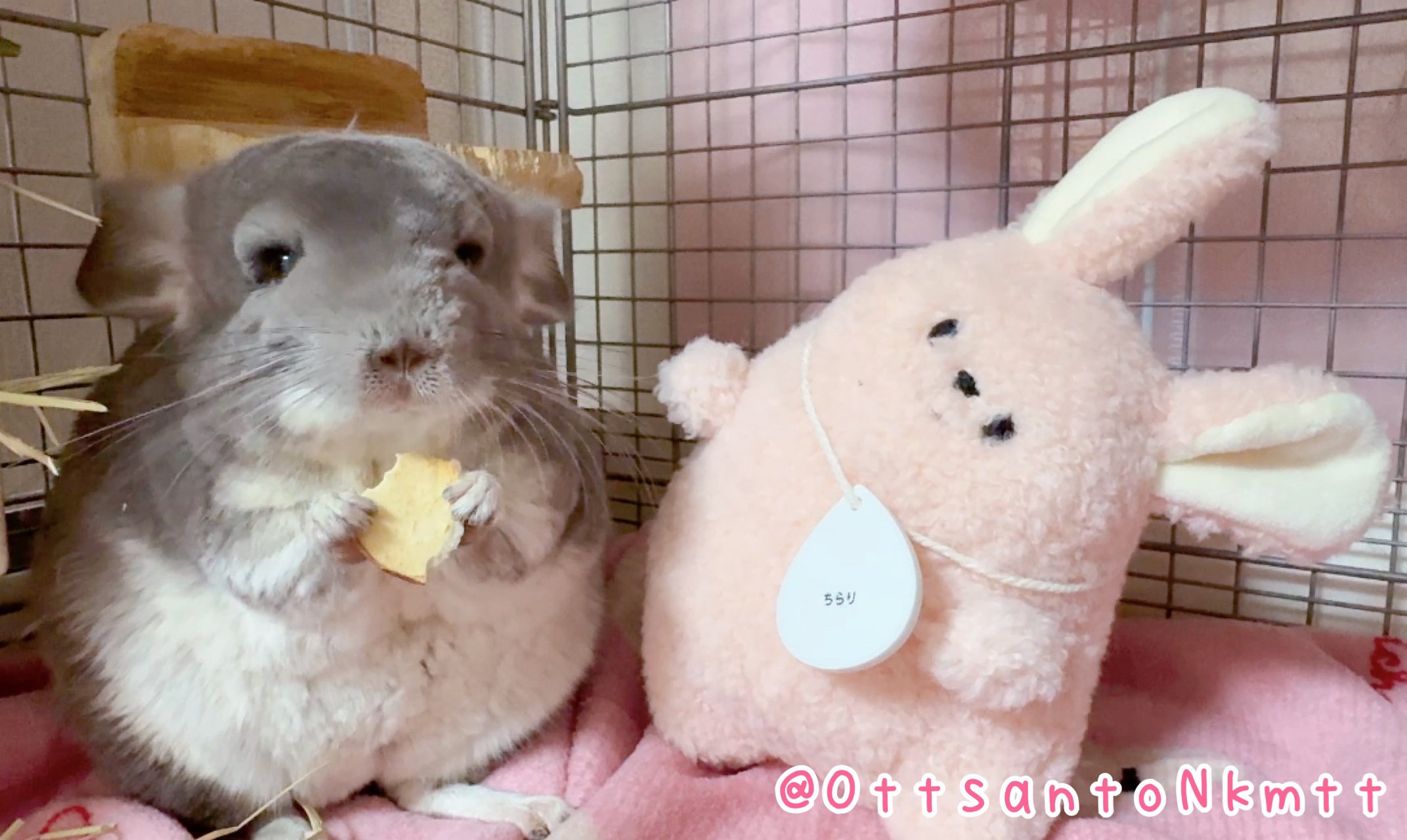 ちり•*¨*•.¸♬︎ 来年もいこーーね？🎐🤍'' . . . 少しずつ夏が終わってる気がし