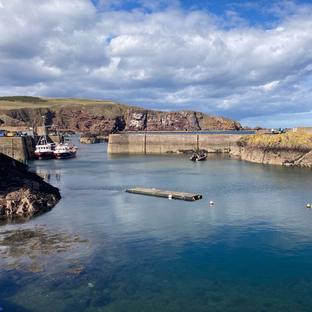 models_direct's tweet image. BTS from a content day shooting with Verdant Leisure 
Modes Marjory &amp;amp; Alistair 

#malemodels #femalemodels #bookamodel #shoot #contentday #bts #images #promotionalshoot