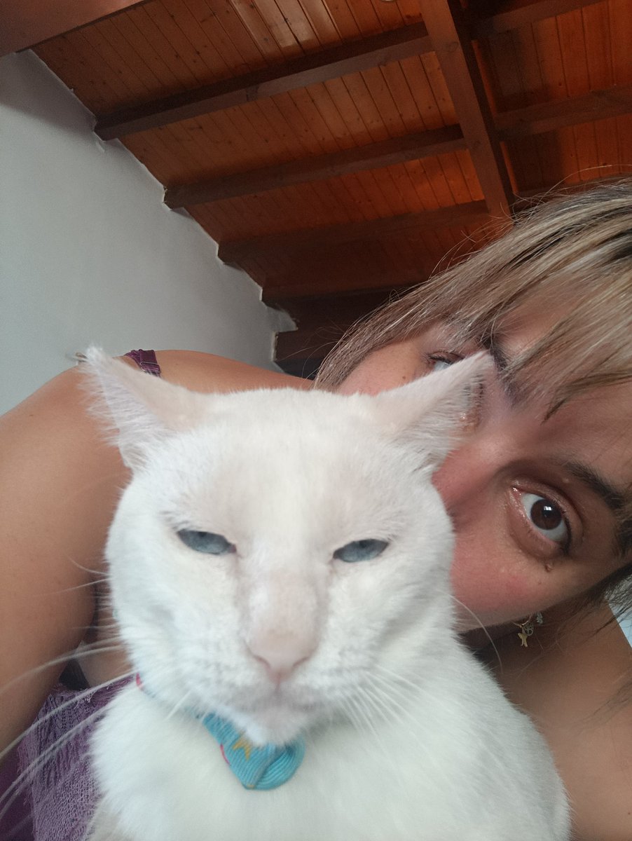 Rota 💔
Así me siento, perder a Lúa con sus 16 años es escuchar,es normal,es vieja... 
No consuela,duele, quema y perder a Muxu hace poco me ha dejado en la miseria,os echo tanto de menos,ojalá haber estado a vuestra altura,lo q si os prometo es q me habéis hecho mejor persona