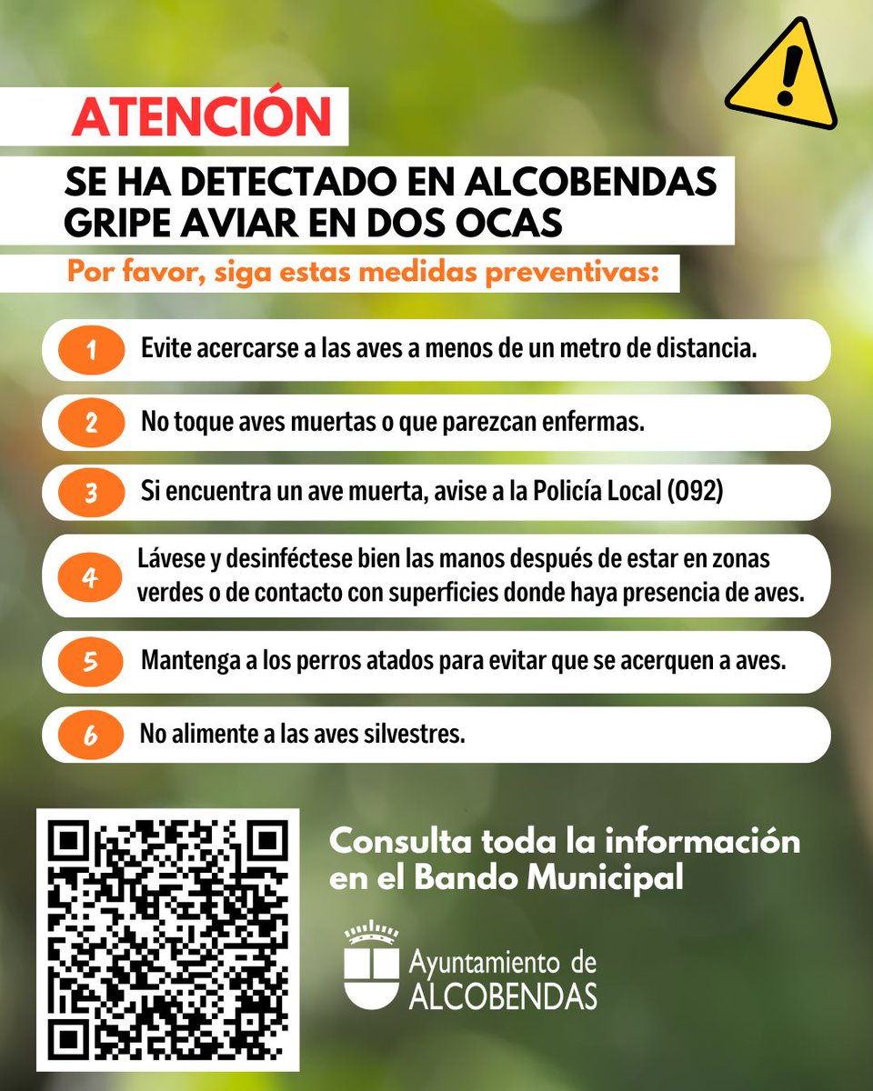 📢 ATENCIÓN 📢
Se ha detectado en Alcobendas gripe aviar en dos ocas. 
Por favor, siga estas medidas preventivas.

ℹ️ Toda la información en este código QR o en el link: alcobendas.org/sites/default/…

🤝 Su colaboración es fundamental.
