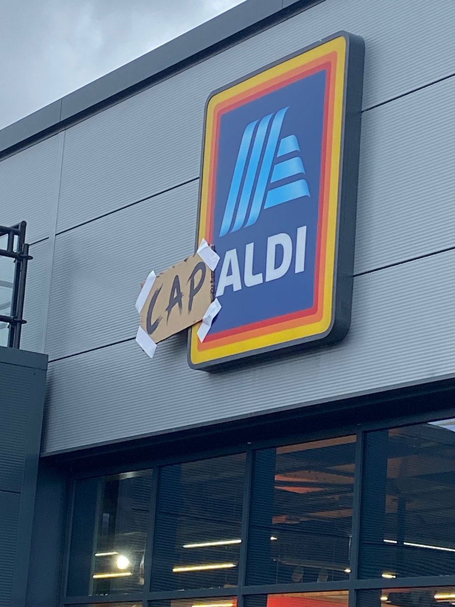 DivinelyCapaldi's tweet image. This you?