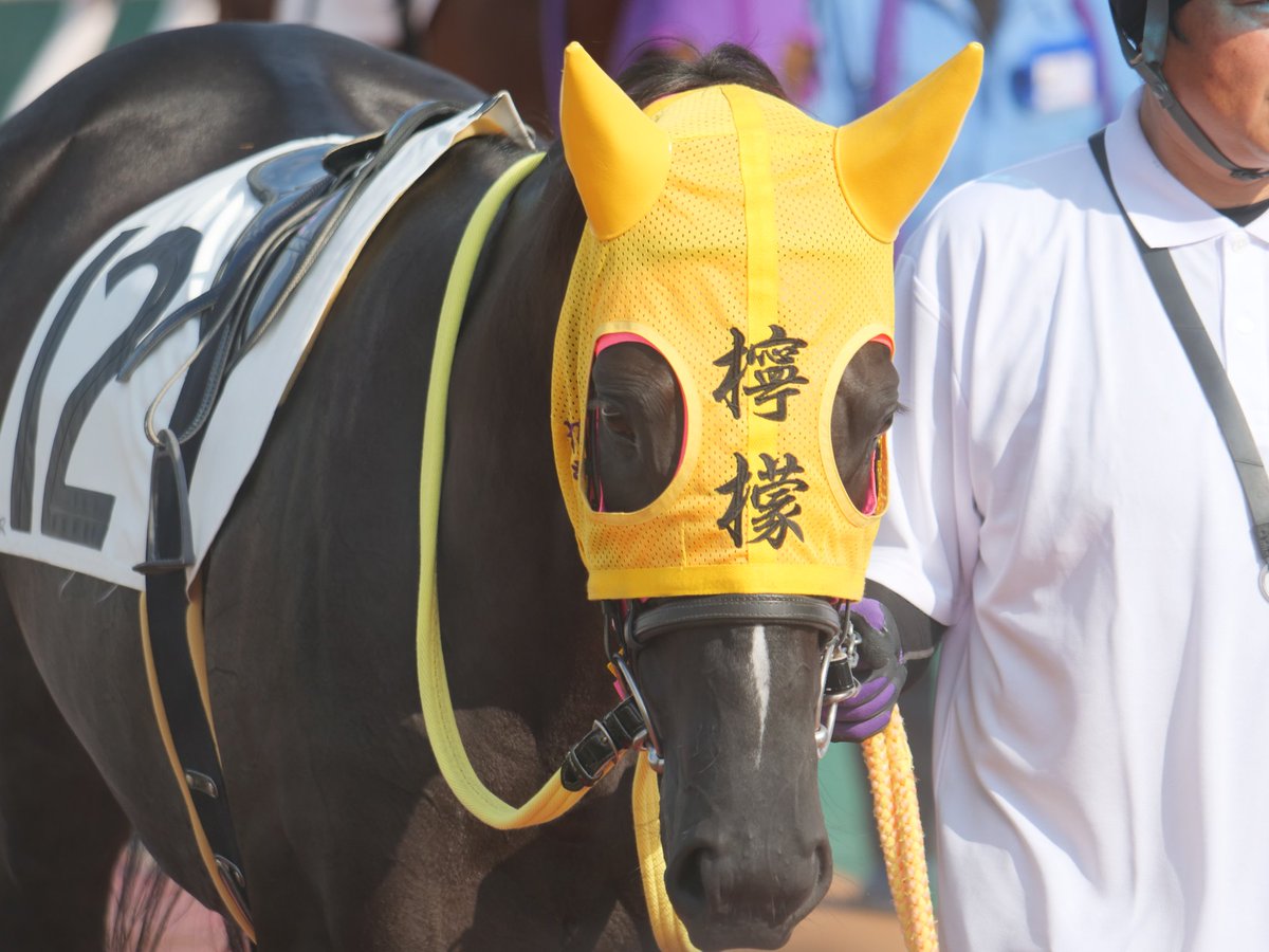 2025.9.26 浦和競馬４R
イチゴホイップ＆レモンスフレ