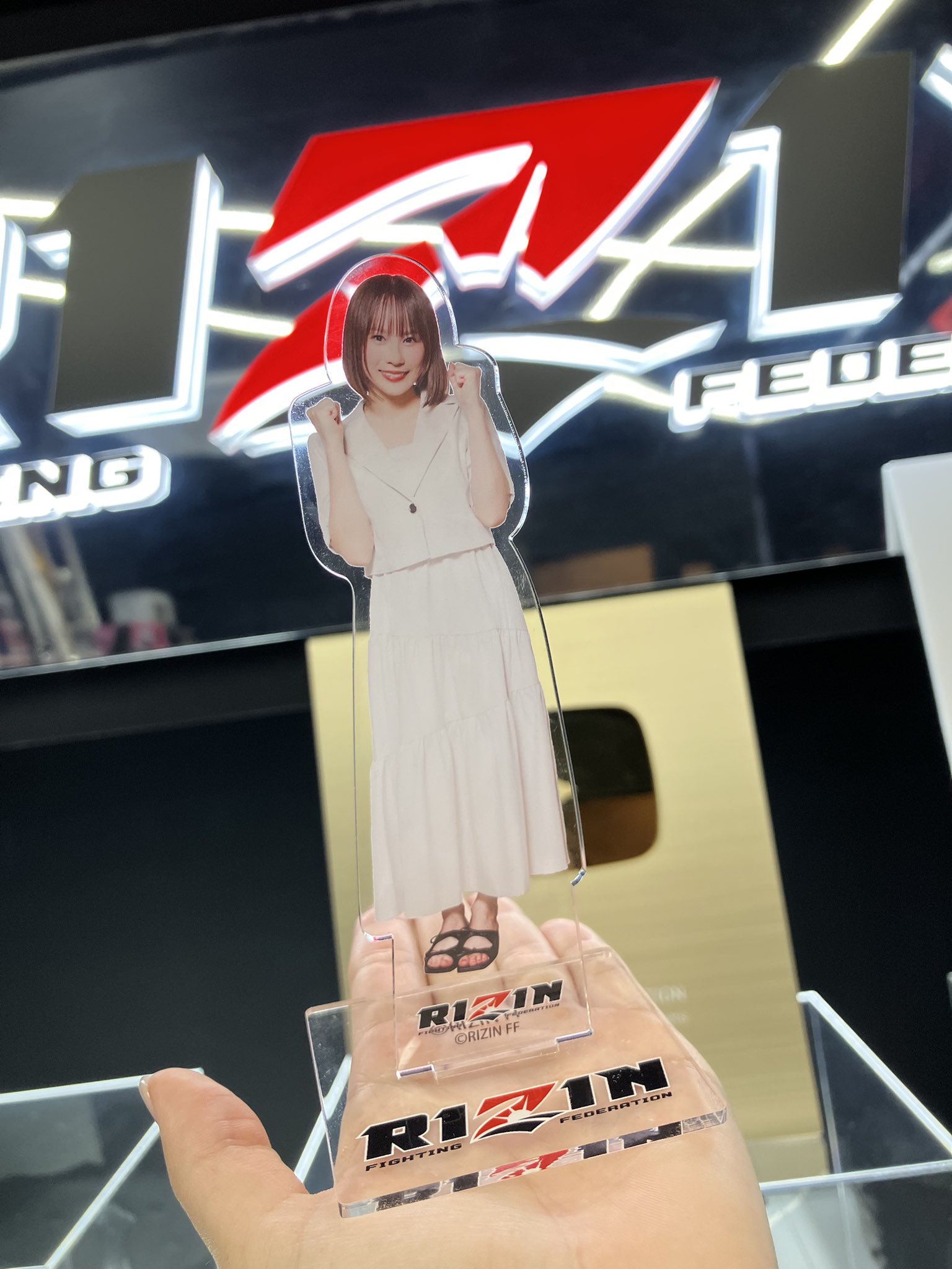 RIZIN×クレマス アクリルスタンド 公式】クレーンゲーム