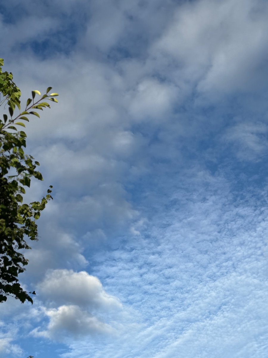 inakagurashiweb's tweet image. 今日は暑い1日でしたが、秋を感じる日差しになりましたね🍂

空を見るといわし雲がところどころに見られました。秋ですね〜✨

#田舎暮らしの本
#秋
